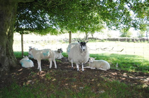 Foto 47 - Brambles Farm Peak District Escape