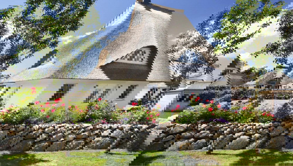 Imagem principal