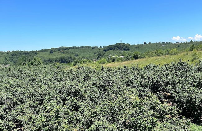 Cakil Apart - Foto 25