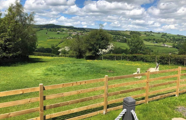 The Shepherds Hut at Hafoty Boeth - Foto 30