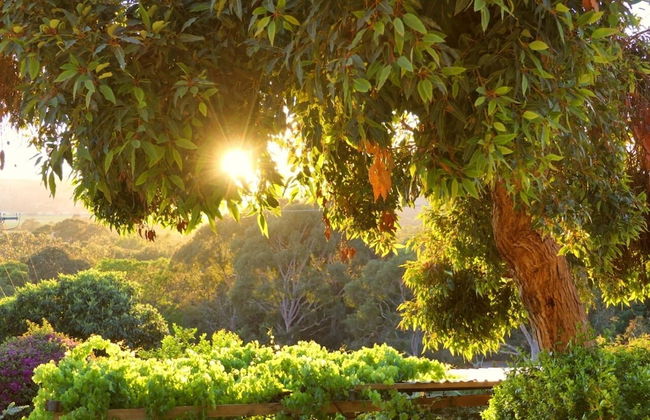 Karawatha Cottages B&B - Foto 52