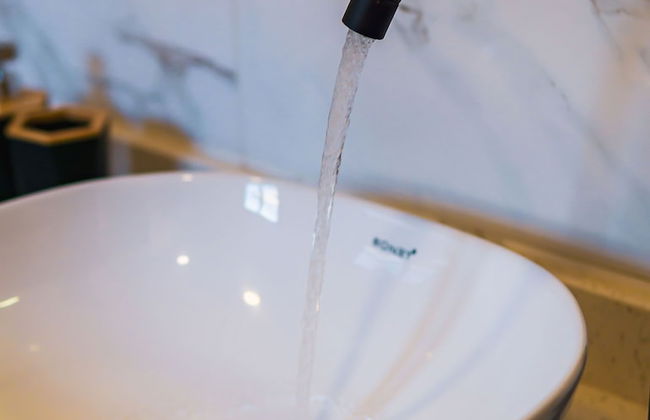 Colonial Wolf Oasis - Photo 58