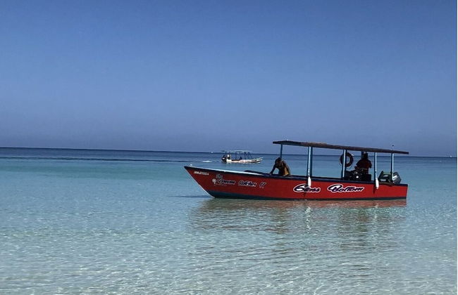 Seacret Studios - Cozy Jamaican Retreat Apts by RedAwning - Foto 23