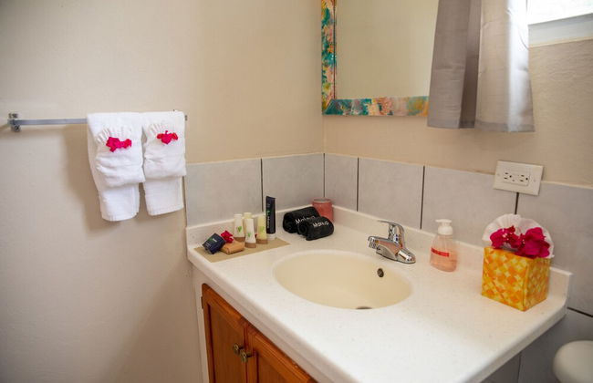 Neem View Apartments Antigua - Foto 48