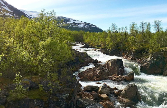 8 Person Holiday Home in Kaldfarnes - Foto 27