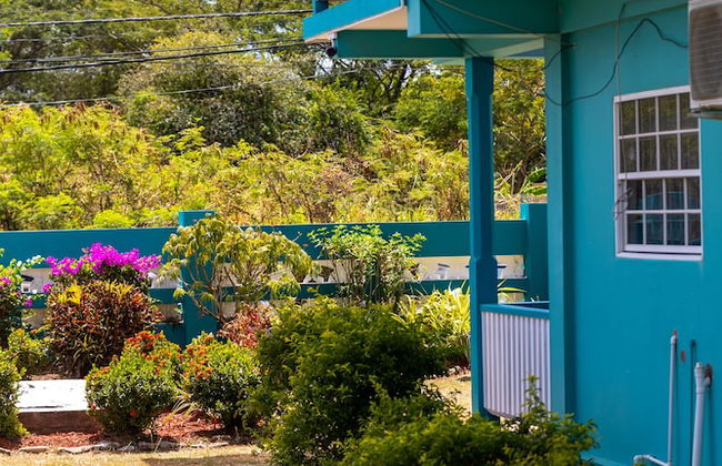 Restorations Tobago - Foto 49