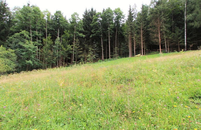 Quiet Holiday Home Near ski Resort - Photo 23