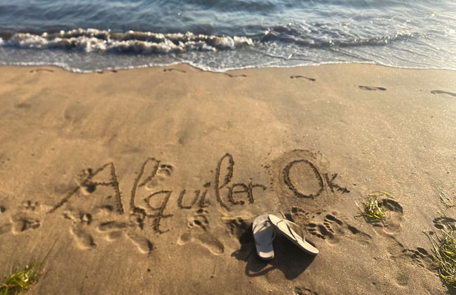 Modern Apartment With sea View Nearby the Beach - Photo 40