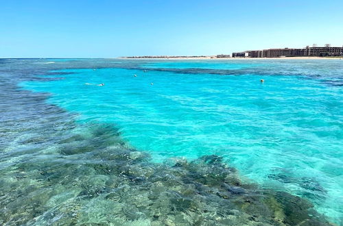 Photo 30 - Beachfront in 5 Star Hotel With Reef Hurghada