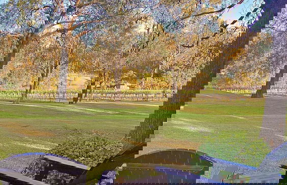 McCaffrey's Estate - Foto 19