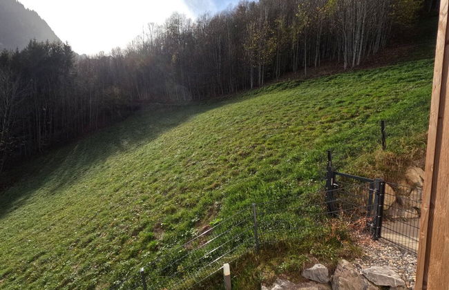 Charming Family Apartment in Bürserberg Österreich - Foto 23