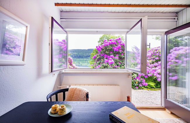 black forest apartments titisee - Foto 17