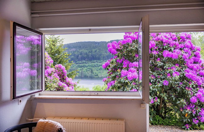 black forest apartments titisee - Foto 71