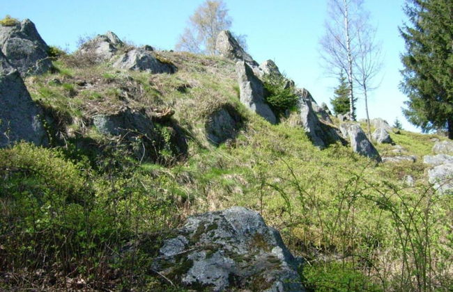 Apartment in Tannesberg Near Goldsteig Trail - Foto 35
