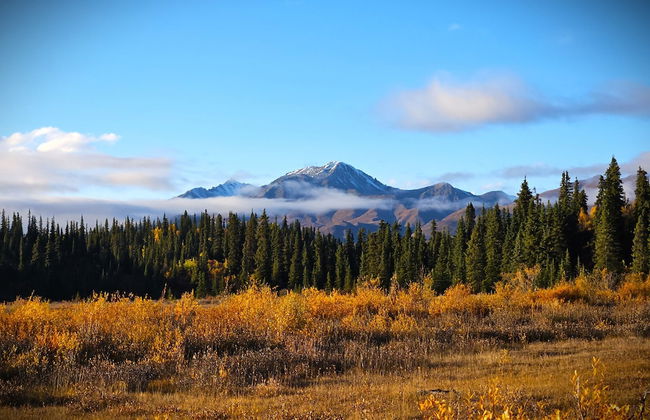 Avens Alaska - Foto 47