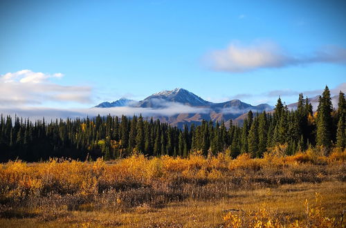 Foto 46 - Wrangell Mountains Wilderness Lodge