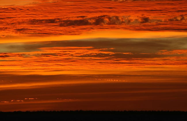 BnBBonaire - Photo 20