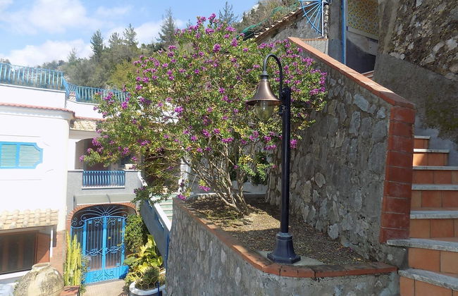 Maison des fleurs - Foto 67