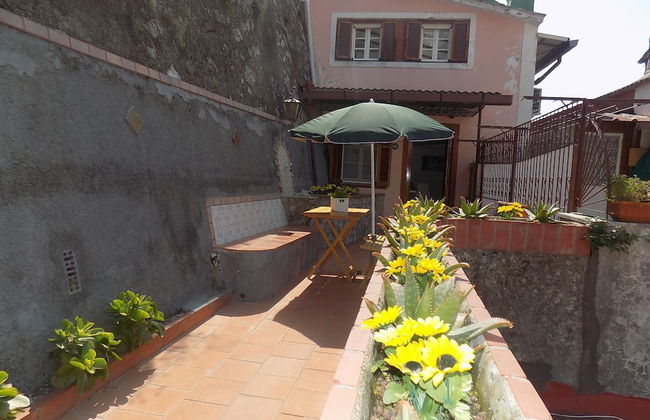Maison des fleurs - Foto 66