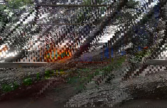 Chalé Diamante Negro - Urubici - SC - Foto 71