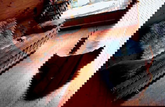 Chalé Diamante Negro - Urubici - SC - Foto 10