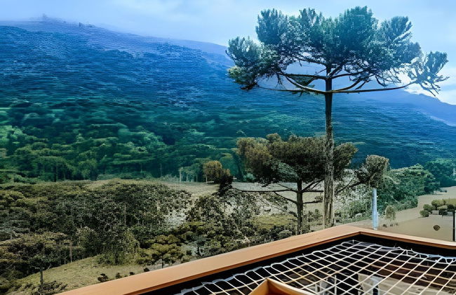 Chalé Diamante Negro - Urubici - SC - Foto 72