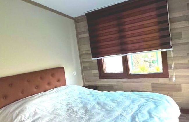 Dag Evi - Foto 2