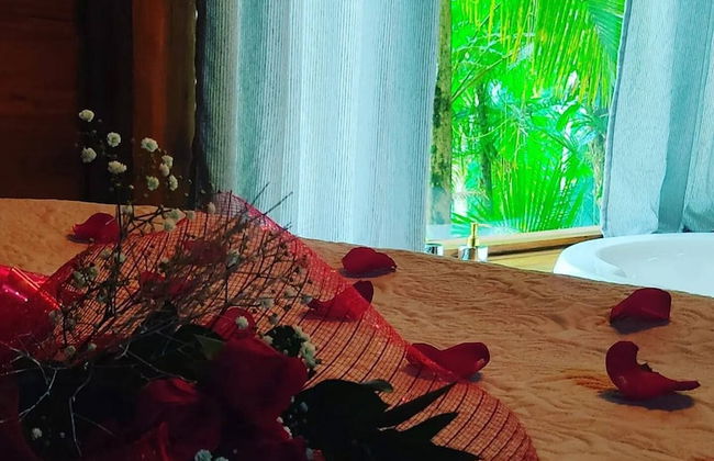 Vila Paraíso - Blumenau - SC - Foto 3