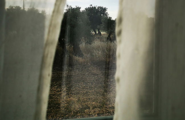 Quinta do Louredo - Foto 59