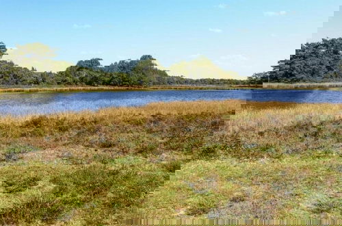 Photo 40 - Cottage in the Dwingelderveld Nature Park