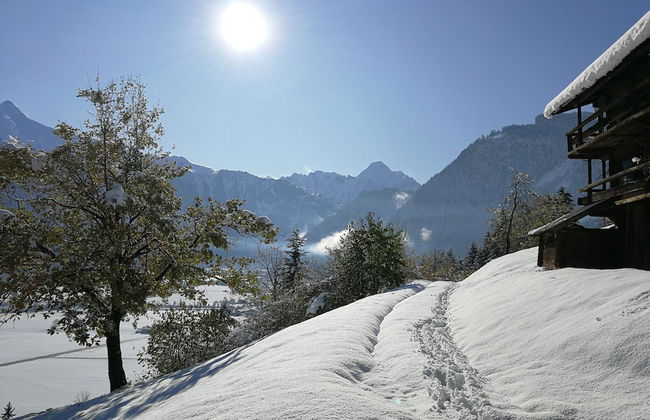 Apartment in Hippach Near Mayrhofen Ski Area - Foto 31