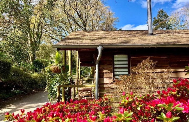 Pinetum Garden Cottages - Foto 63