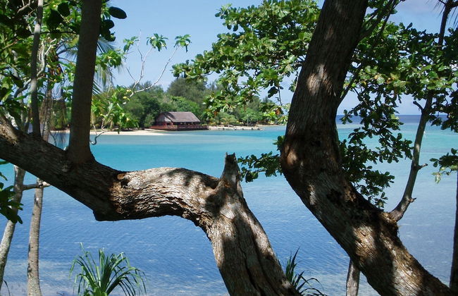 Troppo Mystique - Photo 21