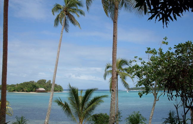 Troppo Mystique - Photo 25