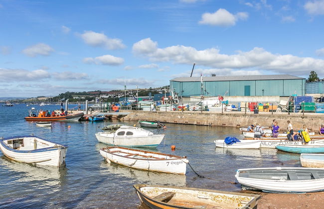 The Curlews in Bishopsteignton - Foto 68