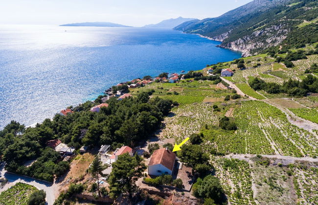 Holiday Home Blue Vineyard - Foto 25