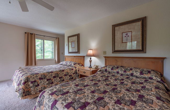 4 Seasons at Beech Mountain - Foto 10
