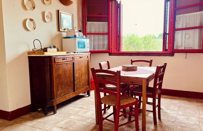 Fattoria Podere i Luoghi - Foto 38
