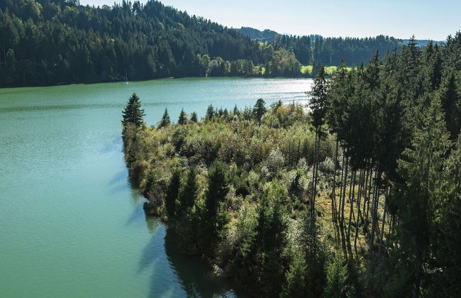 Tolles Bauernhaus im Allgaeu mit Alpenblick - Photo 79