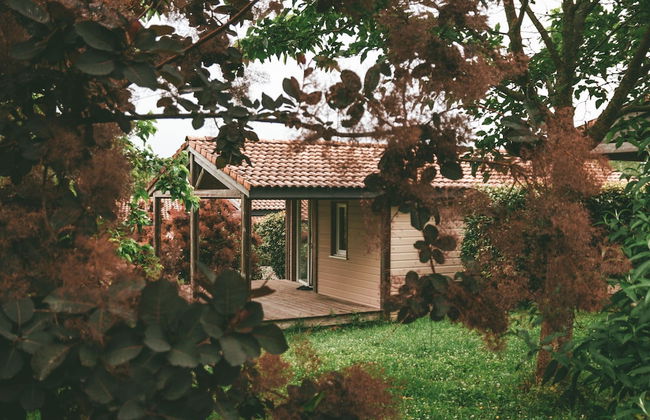 Chalet With Dishwasher on a Hill - Foto 24