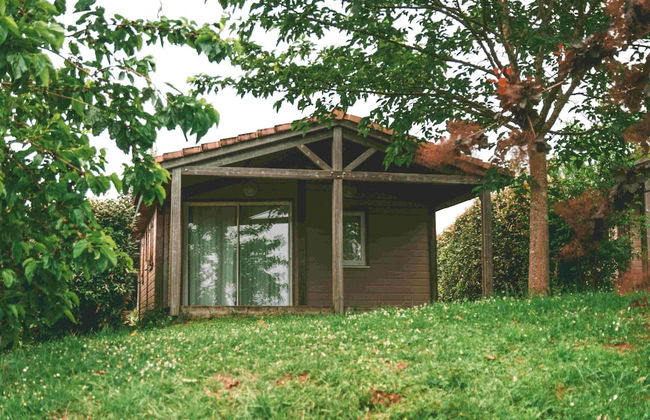 Chalet With Dishwasher on a Hill - Foto 21
