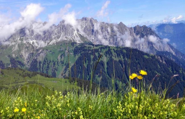 Apartment in St. Gallenkirch Near Ski Lift - Foto 36