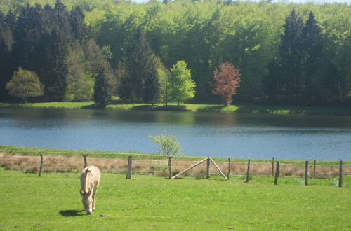 Foto 25 - Holiday Home in the Heart of the Ardennes