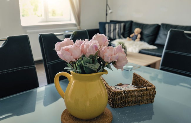 Miraka - Foto 27